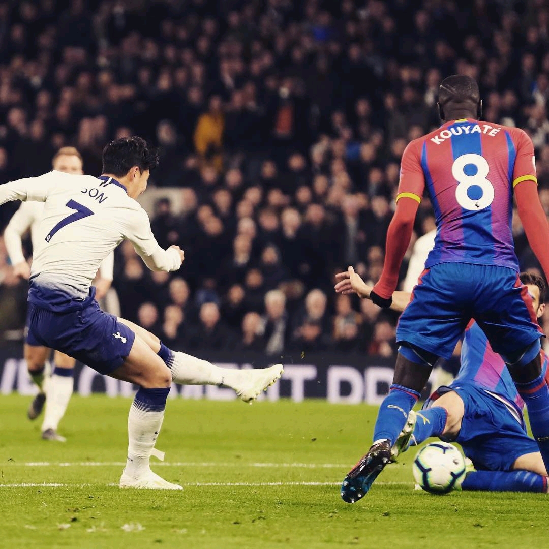 将成为未来 将成为未来