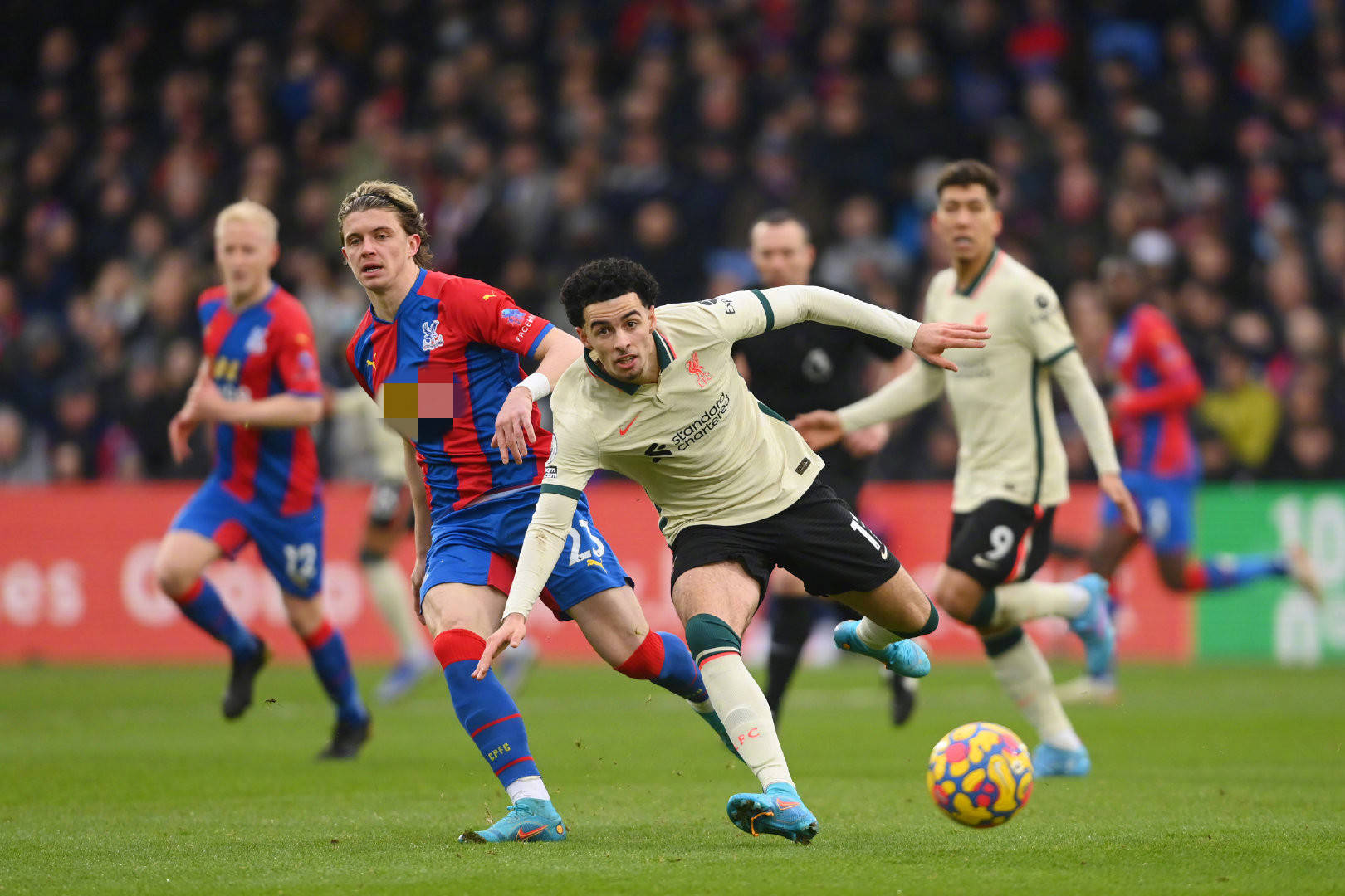 回归将为竞 回归将为竞